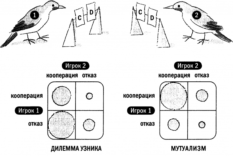 Иллюстрация к книге — Мораль и разум. Как природа создавала наше универсальное чувство добра и зла [img_21.jpg]