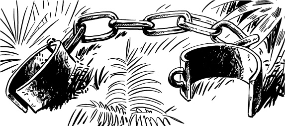 Иллюстрация к книге — Записки экспедитора Тайной канцелярии. Приключения русской княжны в Новом свете [i_086.jpg]