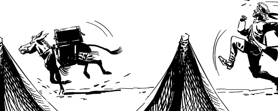 Иллюстрация к книге — Записки экспедитора Тайной канцелярии. Приключения русской княжны в Новом свете [i_165.jpg]