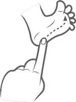 Иллюстрация к книге — Играем по науке. 50 удивительных открытий, которые вы сделаете вместе с ребенком [i_008.jpg]