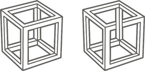 Иллюстрация к книге — Играем по науке. 50 удивительных открытий, которые вы сделаете вместе с ребенком [i_013.jpg]