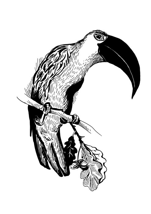 Иллюстрация к книге — Ведьма Страны Туманов [i_001.jpg]