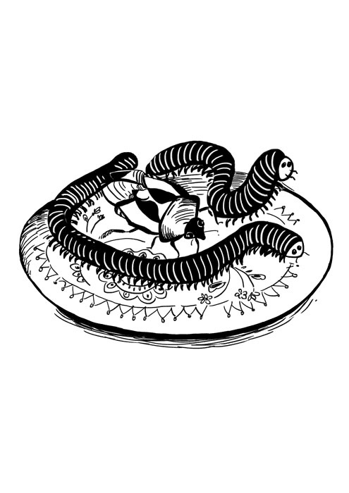 Иллюстрация к книге — Ведьма Страны Туманов [i_003.jpg]