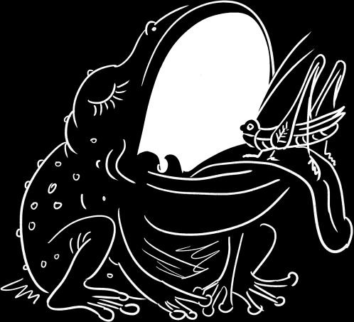 Иллюстрация к книге — Ешь! Не работай! Богатей! 7 простых правил успешных и счастливых [_056.jpg]