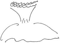 Иллюстрация к книге — В предвкушении себя. От имиджа к стилю [img7BCC.jpg]