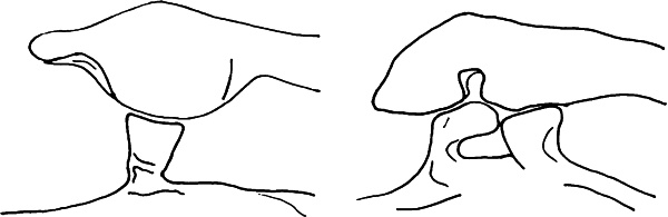 Иллюстрация к книге — Антимозг. Цифровые технологии и мозг [i_021.jpg]