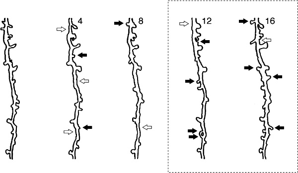 Иллюстрация к книге — Антимозг. Цифровые технологии и мозг [i_022.jpg]