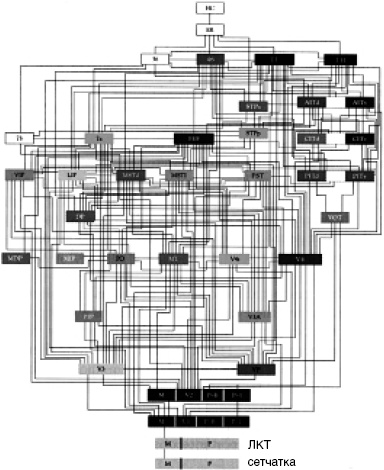 Иллюстрация к книге — Антимозг. Цифровые технологии и мозг [i_026.jpg]