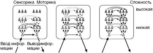 Иллюстрация к книге — Антимозг. Цифровые технологии и мозг [i_051.jpg]