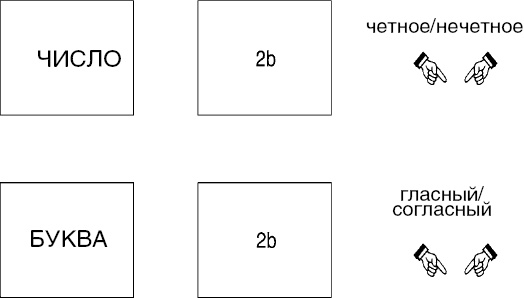 Иллюстрация к книге — Антимозг. Цифровые технологии и мозг [i_070.jpg]