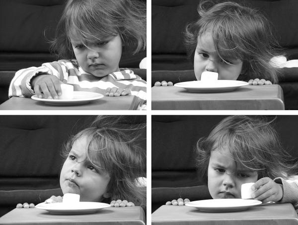 Иллюстрация к книге — Антимозг. Цифровые технологии и мозг [i_071.jpg]