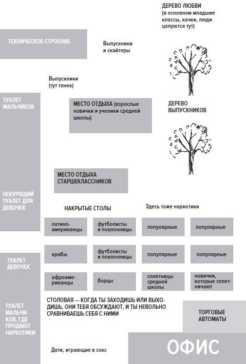 Иллюстрация к книге — Королева улья, или Как выжить в Мире девочек [Autogen_eBook_id4.jpg]