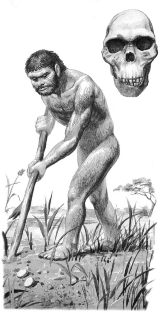 Иллюстрация к книге — Интеллектика. Как работает ваш мозг [_18.jpg]