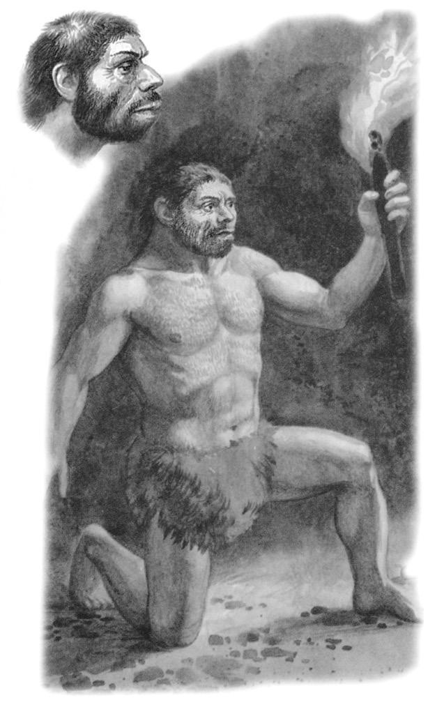 Иллюстрация к книге — Интеллектика. Как работает ваш мозг [_20.jpg]