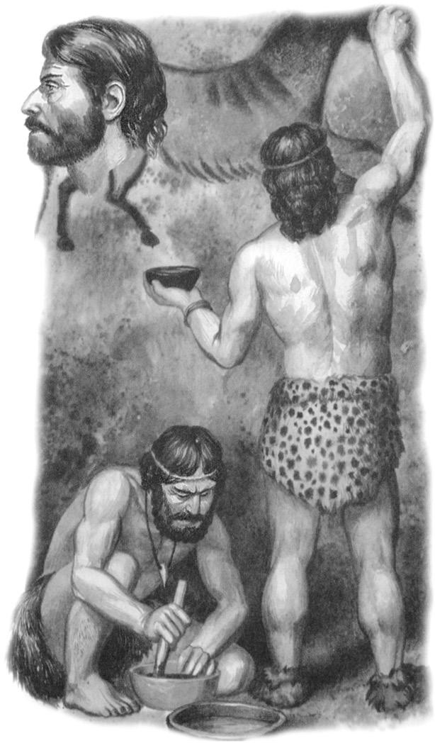 Иллюстрация к книге — Интеллектика. Как работает ваш мозг [_21.jpg]