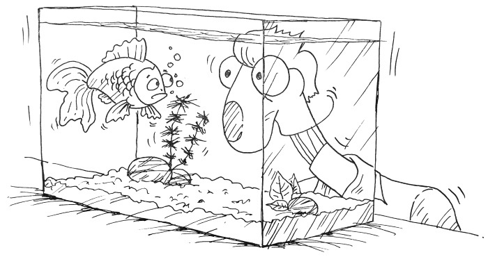 Иллюстрация к книге — Богатей! 4 основы и главный секрет [i_007.jpg]