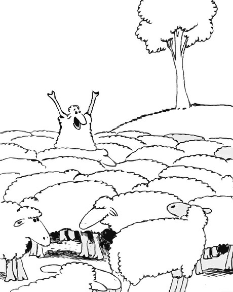 Иллюстрация к книге — Общаемся с легкостью, или Как находить общий язык с любым человеком [i_014.jpg]