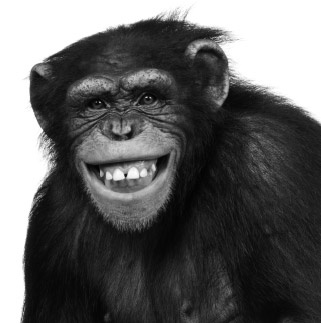 Иллюстрация к книге — Все лгут. Как выявить обман по мимике и жестам [i_001.jpg]