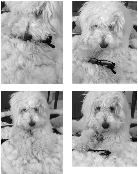 Иллюстрация к книге — Все лгут. Как выявить обман по мимике и жестам [i_002.jpg]