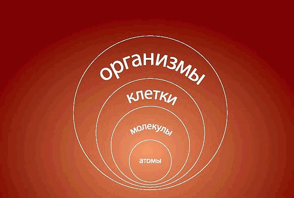Иллюстрация к книге — Интегральное видение. Краткое введение в революционный интегральный подход к жизни, Богу, вселенной и всему остальному [_031.jpg]