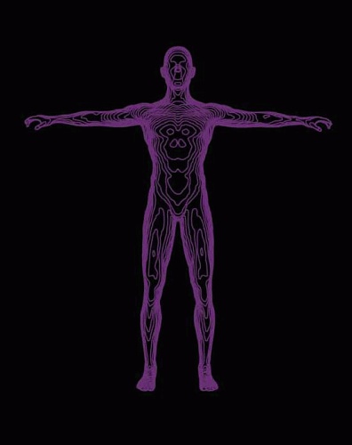 Иллюстрация к книге — Интегральное видение. Краткое введение в революционный интегральный подход к жизни, Богу, вселенной и всему остальному [_197.jpg]