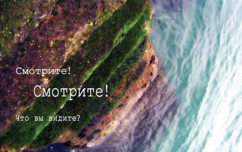 Иллюстрация к книге — Интегральное видение. Краткое введение в революционный интегральный подход к жизни, Богу, вселенной и всему остальному [_208_209.jpg]