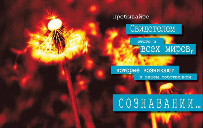 Иллюстрация к книге — Интегральное видение. Краткое введение в революционный интегральный подход к жизни, Богу, вселенной и всему остальному [_210_211.jpg]