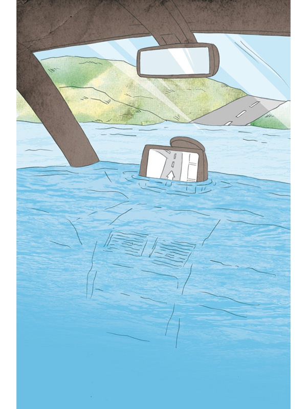 Иллюстрация к книге — Территория заблуждений. Какие ошибки совершают умные люди [i_081.jpg]