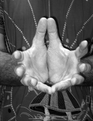 Иллюстрация к книге — Йога дважды рожденных [i_001.jpg]