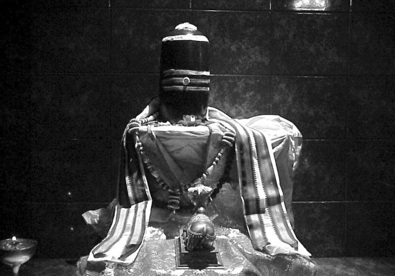 Иллюстрация к книге — Йога дважды рожденных [i_004.jpg]