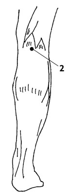 Иллюстрация к книге — Большой атлас целительных точек. 200 упражнений для здоровья и долголетия [i_009.jpg]