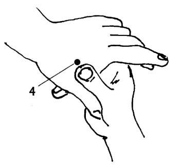 Иллюстрация к книге — Большой атлас целительных точек. 200 упражнений для здоровья и долголетия [i_011.jpg]