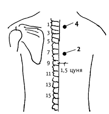 Иллюстрация к книге — Большой атлас целительных точек. 200 упражнений для здоровья и долголетия [i_015.jpg]