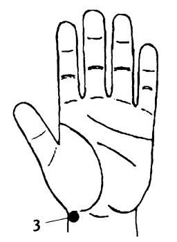 Иллюстрация к книге — Большой атлас целительных точек. 200 упражнений для здоровья и долголетия [i_016.jpg]