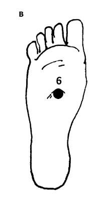 Иллюстрация к книге — Большой атлас целительных точек. 200 упражнений для здоровья и долголетия [i_020.jpg]