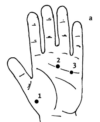 Иллюстрация к книге — Большой атлас целительных точек. 200 упражнений для здоровья и долголетия [i_021.jpg]