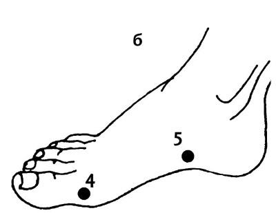 Иллюстрация к книге — Большой атлас целительных точек. 200 упражнений для здоровья и долголетия [i_022.jpg]