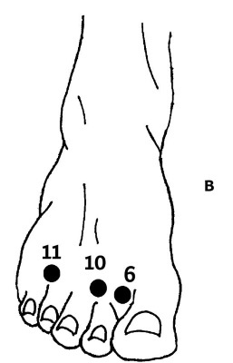 Иллюстрация к книге — Большой атлас целительных точек. 200 упражнений для здоровья и долголетия [i_023.jpg]