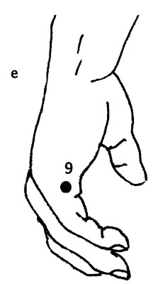 Иллюстрация к книге — Большой атлас целительных точек. 200 упражнений для здоровья и долголетия [i_026.jpg]