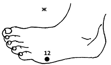 Иллюстрация к книге — Большой атлас целительных точек. 200 упражнений для здоровья и долголетия [i_027.jpg]