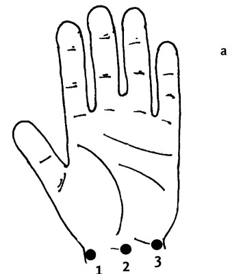 Иллюстрация к книге — Большой атлас целительных точек. 200 упражнений для здоровья и долголетия [i_028.jpg]