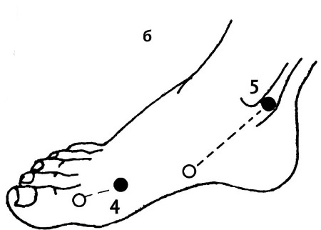 Иллюстрация к книге — Большой атлас целительных точек. 200 упражнений для здоровья и долголетия [i_029.jpg]