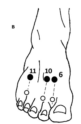Иллюстрация к книге — Большой атлас целительных точек. 200 упражнений для здоровья и долголетия [i_030.jpg]