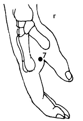 Иллюстрация к книге — Большой атлас целительных точек. 200 упражнений для здоровья и долголетия [i_031.jpg]