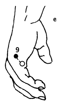 Иллюстрация к книге — Большой атлас целительных точек. 200 упражнений для здоровья и долголетия [i_033.jpg]