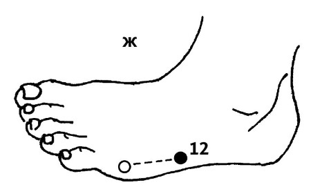 Иллюстрация к книге — Большой атлас целительных точек. 200 упражнений для здоровья и долголетия [i_034.jpg]