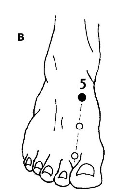 Иллюстрация к книге — Большой атлас целительных точек. 200 упражнений для здоровья и долголетия [i_037.jpg]