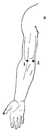 Иллюстрация к книге — Большой атлас целительных точек. 200 упражнений для здоровья и долголетия [i_042.jpg]