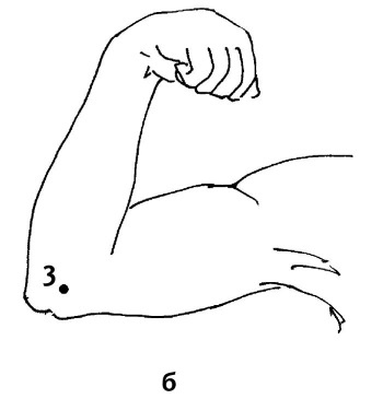 Иллюстрация к книге — Большой атлас целительных точек. 200 упражнений для здоровья и долголетия [i_043.jpg]