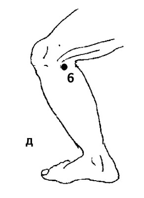 Иллюстрация к книге — Большой атлас целительных точек. 200 упражнений для здоровья и долголетия [i_046.jpg]